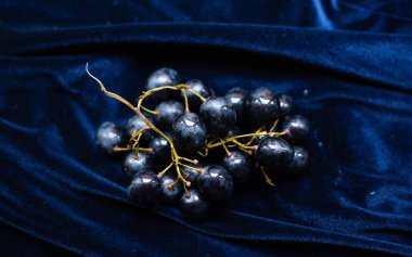 Lacivert kadife ve lacivert üzüm demeti.