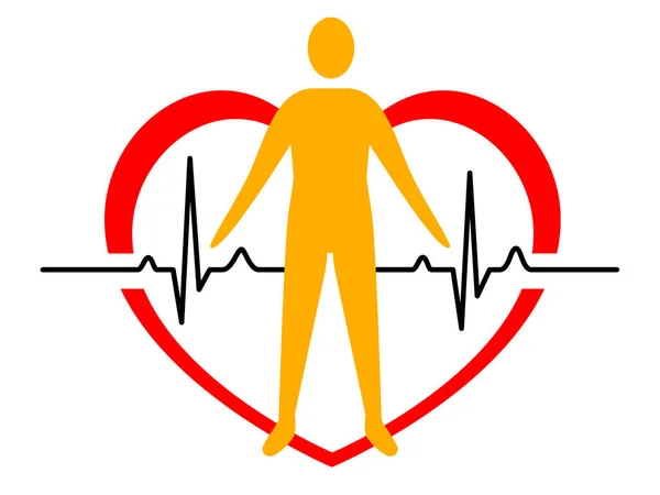 Srdce Člověkem Elektrokardiogram Vektorové Ilustrace — Stockový vektor