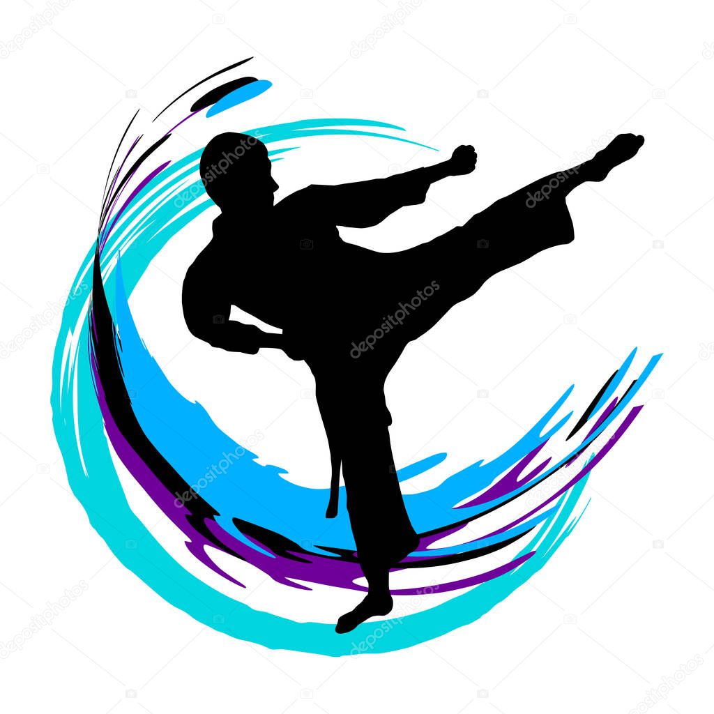 Karate fighter vector illustration