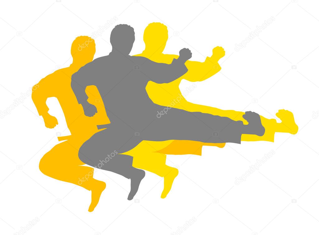 Karate fighter vector illustration