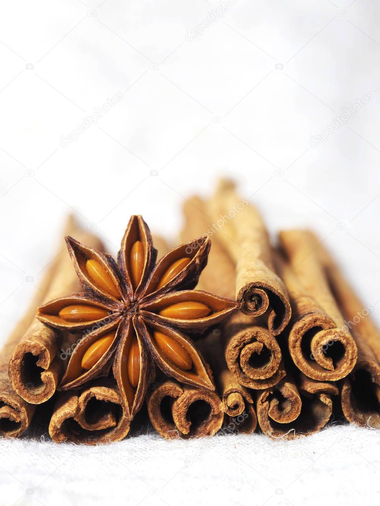 cinnamon and poder on white and macro style spice cooking