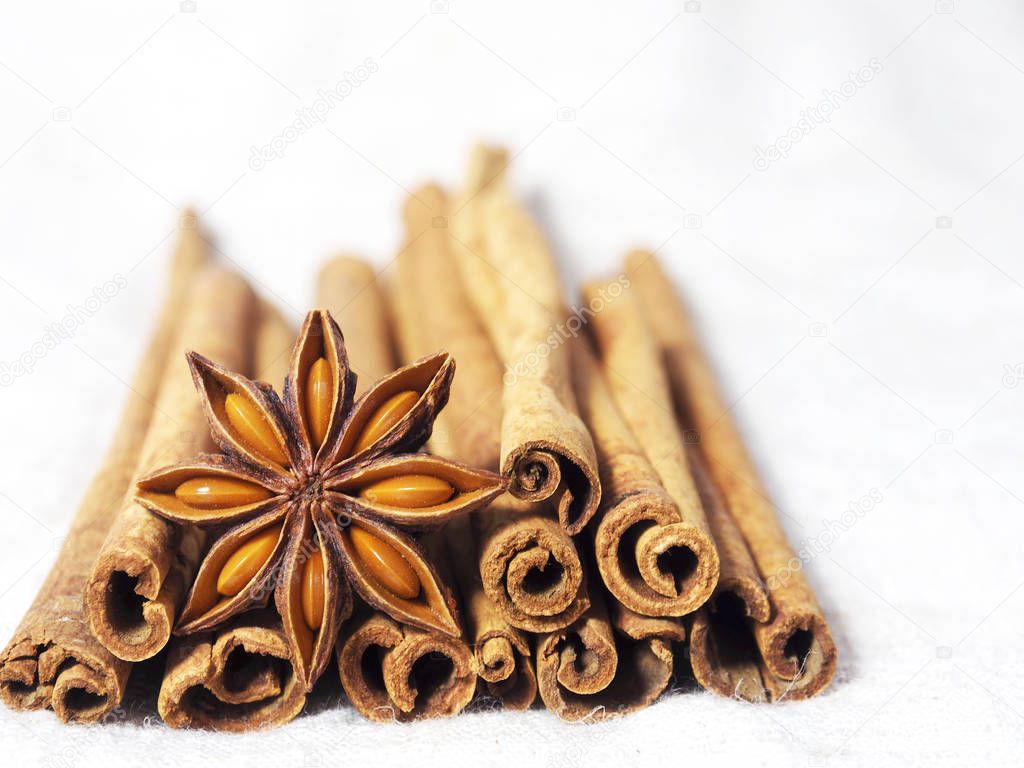  cinnamon and poder on white and macro style spice cooking