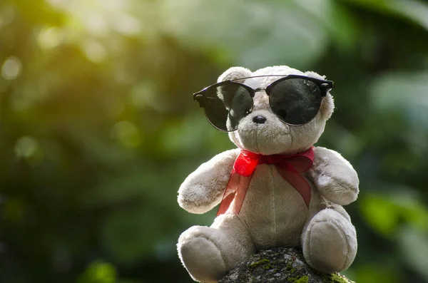 Yeşil bokeh arka planda güneş gözlüğü ve oyuncak ayı. 