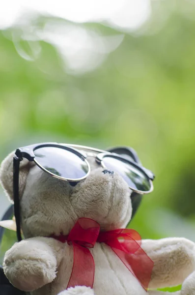 Napszemüveg Játékmackó Zöld Bokeh Háttér — Stock Fotó