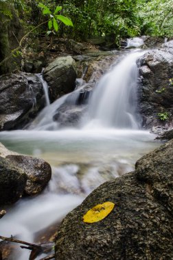 Yağmur ormanlarındaki şelale ve ormandaki temiz hava rahatlar ve serinler. 