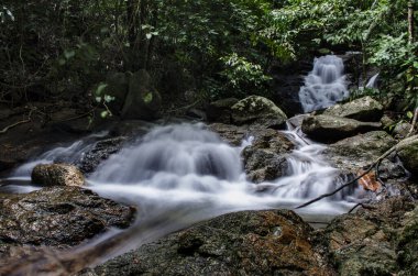 Yağmur ormanlarındaki şelale ve ormandaki temiz hava rahatlar ve serinler. 
