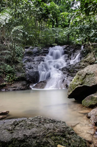 Yağmur ormanlarındaki şelale ve ormandaki temiz hava rahatlar ve serinler. 