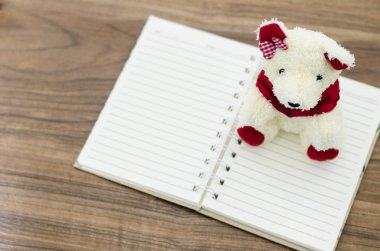 Oyuncak ayı ve kitap mandırası aşkı. 