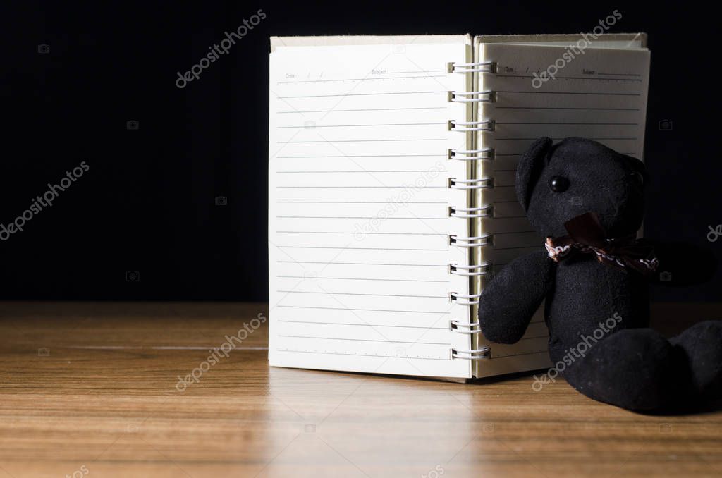 teddy bear and note book dairy love 
