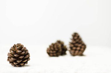 Çam çiçeği ve oyuncak ayı oyuncak bebek hediye ve tüm eşdeğerler