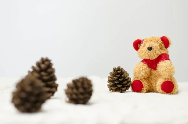 Kiefernblume Und Teddybär Puppe Für Geschenk Und Alle Bewunderung — Stockfoto
