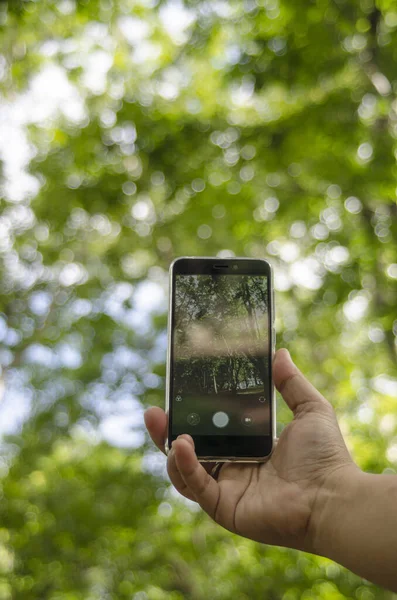 mobile camera snap park nature on  blur background