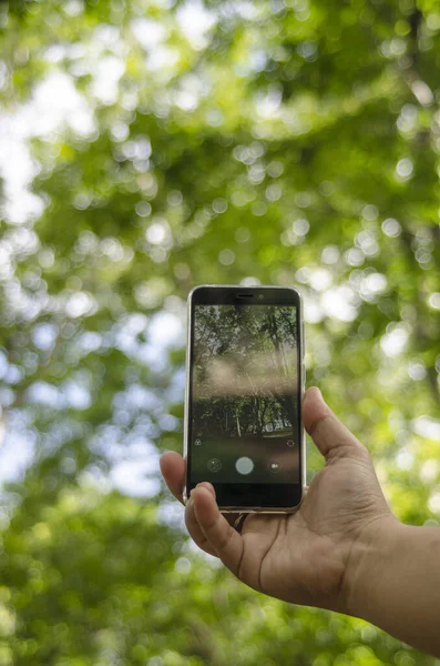 Cámara Móvil Snap Parque Naturaleza Sobre Fondo Borroso — Foto de Stock