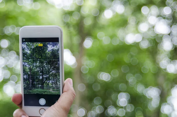 Cámara Móvil Snap Parque Naturaleza Sobre Fondo Borroso — Foto de Stock