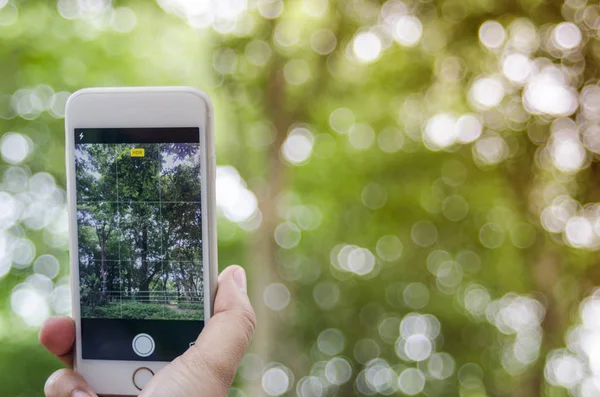 mobile camera snap park nature on  blur background