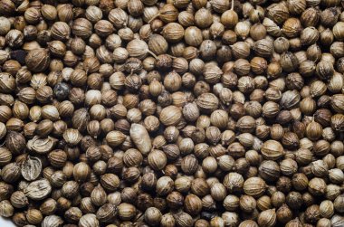 Kişniş tohumu ve tahıl yemek ve arka plan yemekleri için.