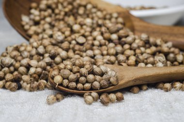 kişniş tohumu ve makro biçimi 