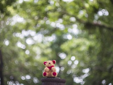 Oyuncak ayı ve oyuncak bebek yeşil bahçe bokeh 'inde