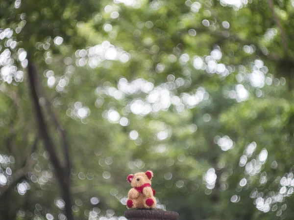 Muñeca Oso Muñeca Peluche Negro Jardín Verde Bokeh —  Fotos de Stock