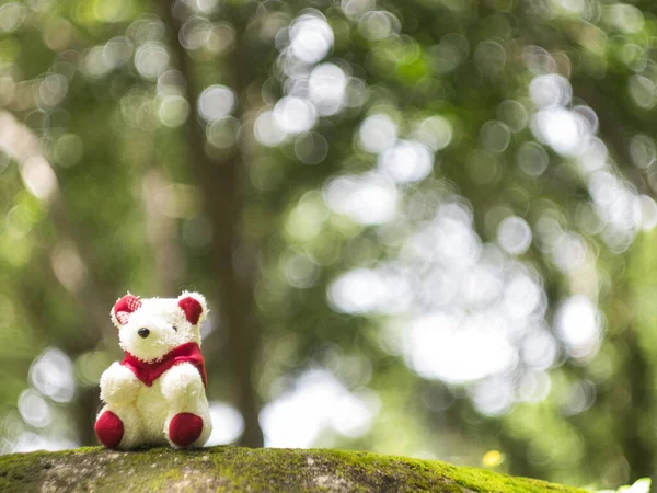 Medve Baba Teddy Fekete Baba Zöld Kert Bokeh — Stock Fotó