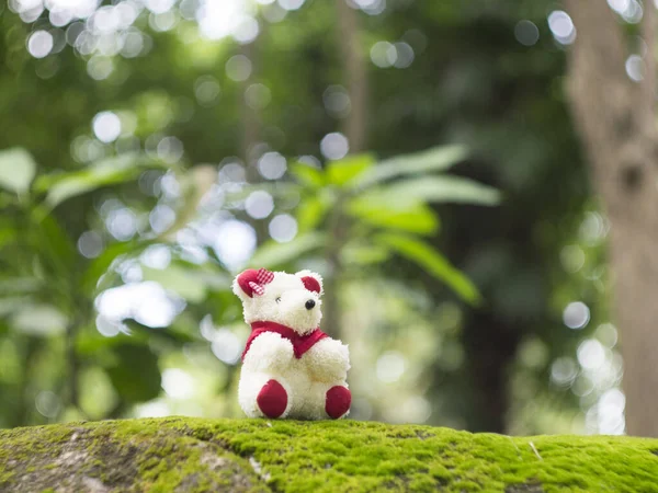 Muñeca Oso Muñeca Peluche Negro Jardín Verde Bokeh —  Fotos de Stock