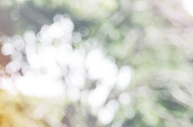 Bokeh bulanık arkaplan tatlı ışık ve püskürtme