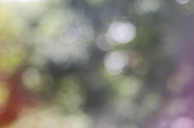 Bokeh bulanık arka plan tatlı ışık ve sprey 