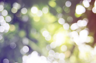 Bokeh bulanık arka plan tatlı ışık ve sprey 