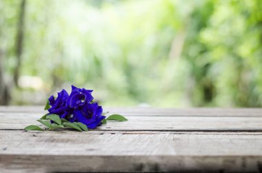 Kelebek, bezelye ve meyve suyu. Bardakta mavi. Rahatlamak ve sağlıklı içmek için harika bir zaman.