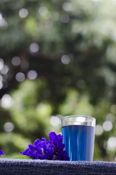 Πεταλούδα Μπιζέλι Και Χυμό Μπλε Ποτήρι Μεγάλη Στιγμή Για Χαλάρωση Εικόνα Αρχείου