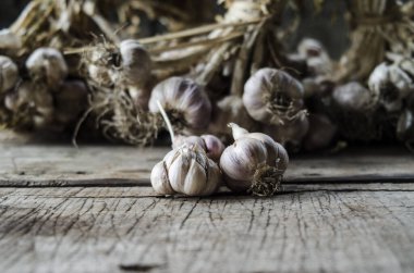 Bir demet taze yiyecek ve baharat ile kurutulmuş sarımsak.