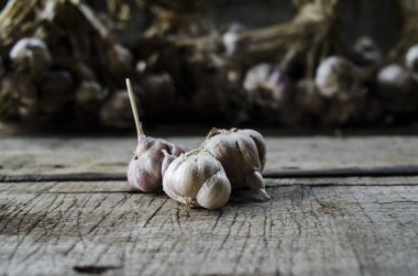 Bir demet taze yiyecek ve baharat ile kurutulmuş sarımsak.
