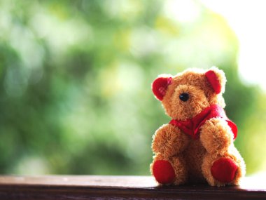 Oyuncak ayı yeşil ve bokeh arka planda tek başına oturur. 