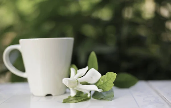 white flower gardenia and jusmine green leaf fresh