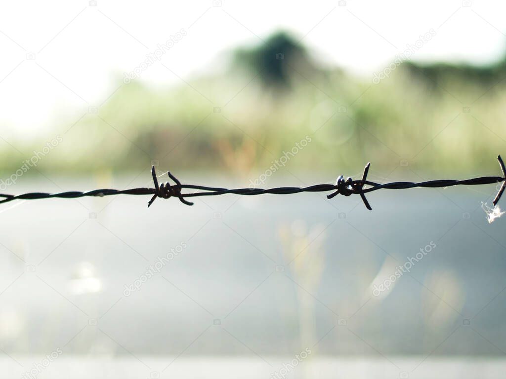 barbwire on private garden next by side road 