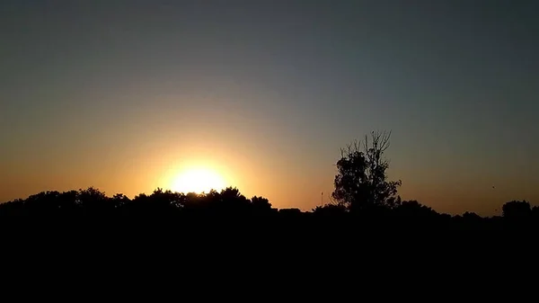 Silueta Del Amanecer Con Árboles — Foto de Stock