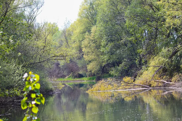 Jezioro Hiszpańskim Parku Narodowym — Zdjęcie stockowe