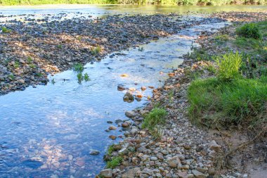 Şehrin dışındaki ormandaki nehir.