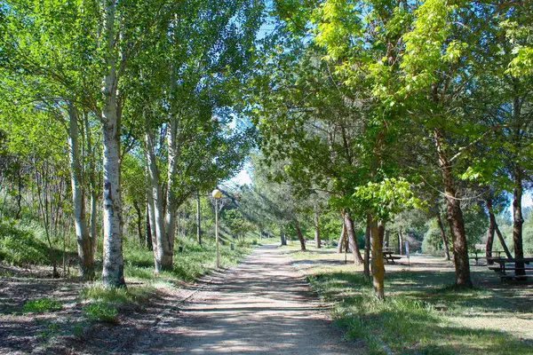 Madrid 'in dışındaki eski bir kasabada köy yolu.