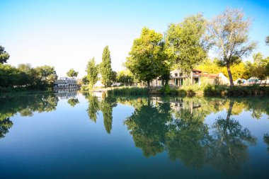 Doğal bir göle yansıyan ağaçlar