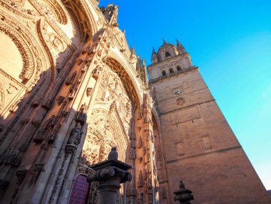 Kırsal bir arazide görüntüler