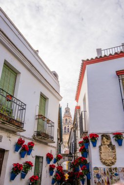 Süslü çiçekler ve bitkilerle dolu renkli bir cadde, Endülüs