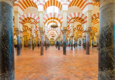 Barselona katedralinin içinde.