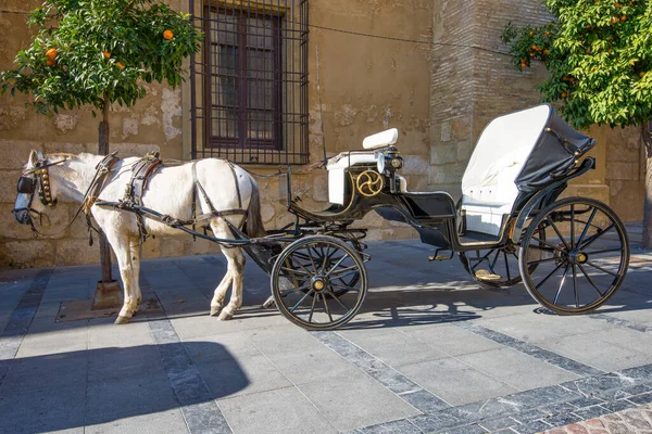 Granada şehrinde at arabası