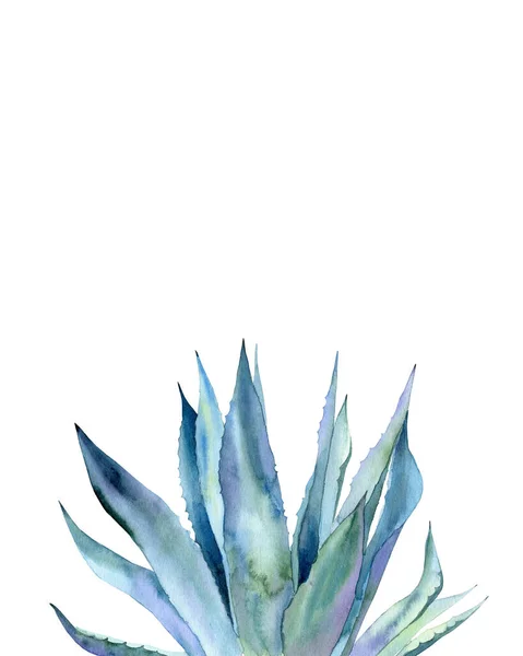 Akvarelové Eukalyptové Větve Design Pro Pozvání Svatbu Pozdrav Pohlednici Pohlednici — Stock fotografie