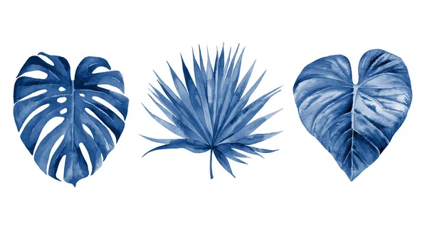 Een Verzameling Tropische Takken Klassieke Blauwe Bladeren Botanische Kunst Aquarelillustratie — Stockfoto