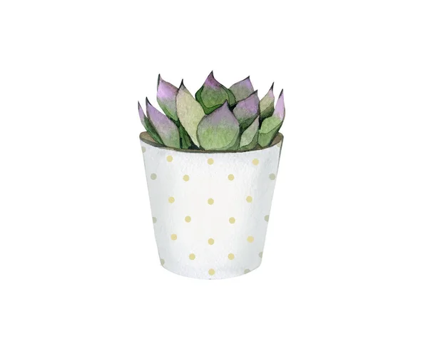 鉢の中の花 Bohoスタイル カード 招待状のためのデザイン 水生植物の詳細 白地に隔離された植物図 — ストック写真