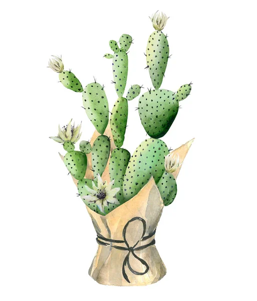 Bloem Cactus Plant Plant Detail Voor Kaart Ansichtkaart Uitnodiging Begroeting — Stockfoto