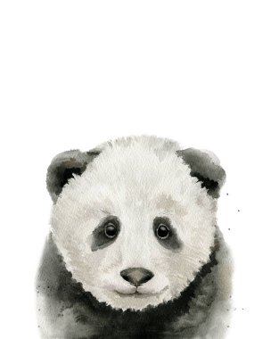 Bebek panda portresi. Hayvan kafası. Beyaz arkaplanda suluboya çizimi.