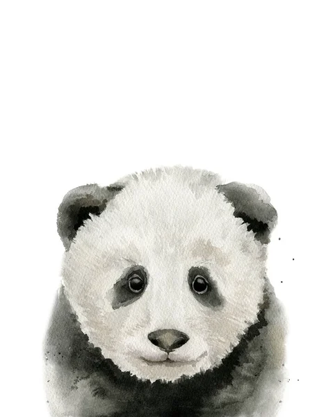 Retrato Panda Bebé Cabeza Animal Ilustración Acuarela Sobre Fondo Blanco — Foto de Stock